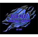 Blue Heat Basketball Academy